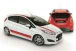 Ford Fiesta Hot Hatch Edition 2014 года